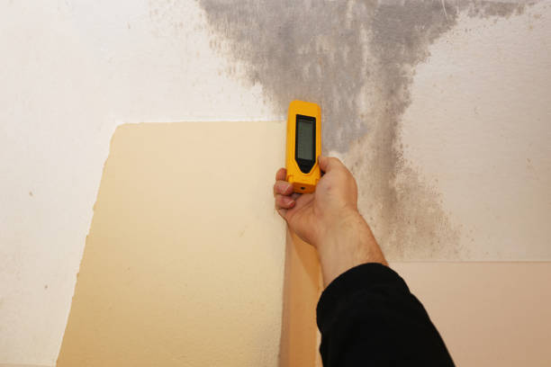 Best HVAC Mold Inspection and Cleaning  in Solon, OH