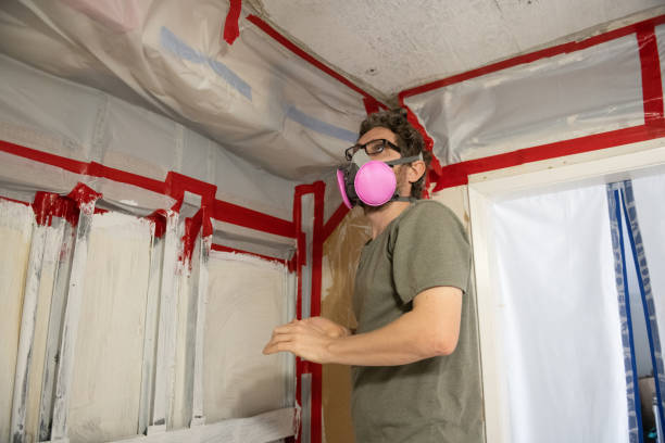 Best Post-Remediation Verification Testing  in Solon, OH
