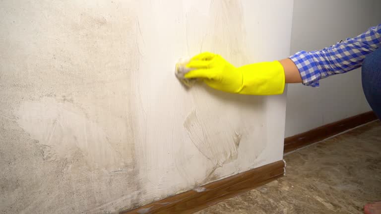 Best Post-Construction Mold Inspection  in Solon, OH