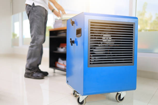 Best Mold Remediation for Healthcare Facilities  in Solon, OH